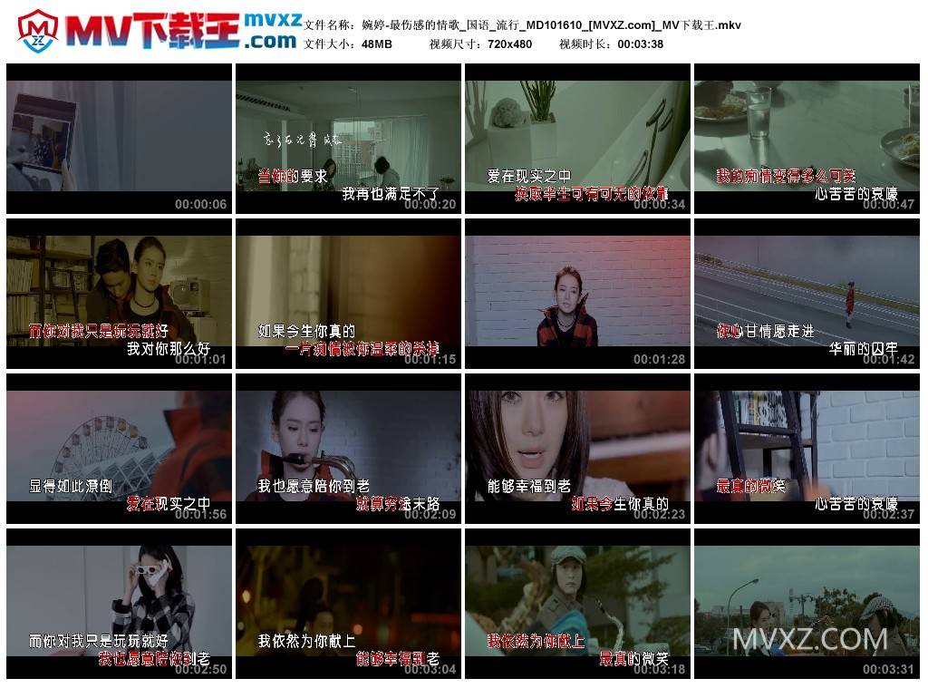 婉婷-最伤感的情歌_国语_流行_MD101610